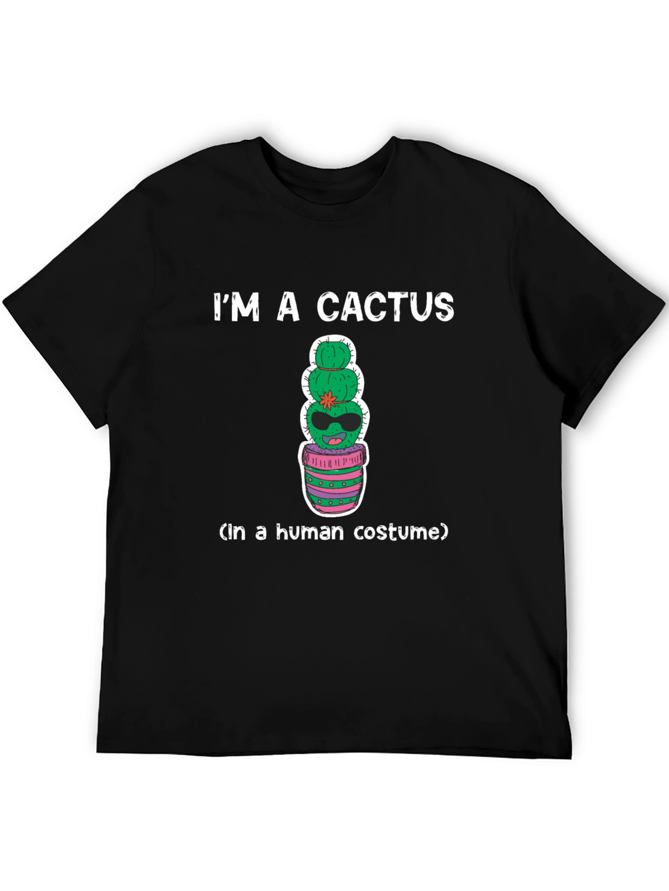 Im A Cactus In A Human Costume T-Shirt
