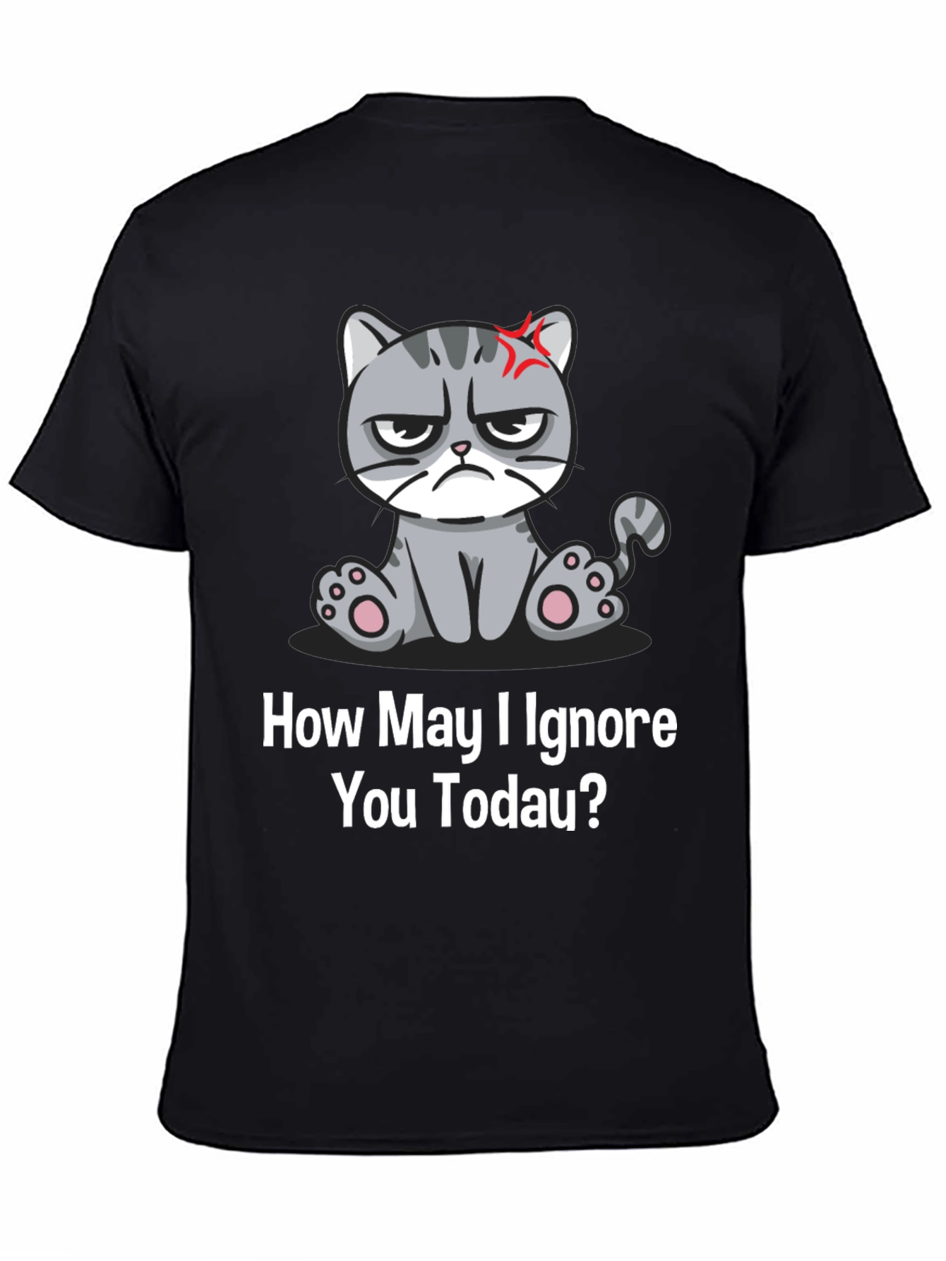 Grumpy Cat Ignore You Today T-Shirt