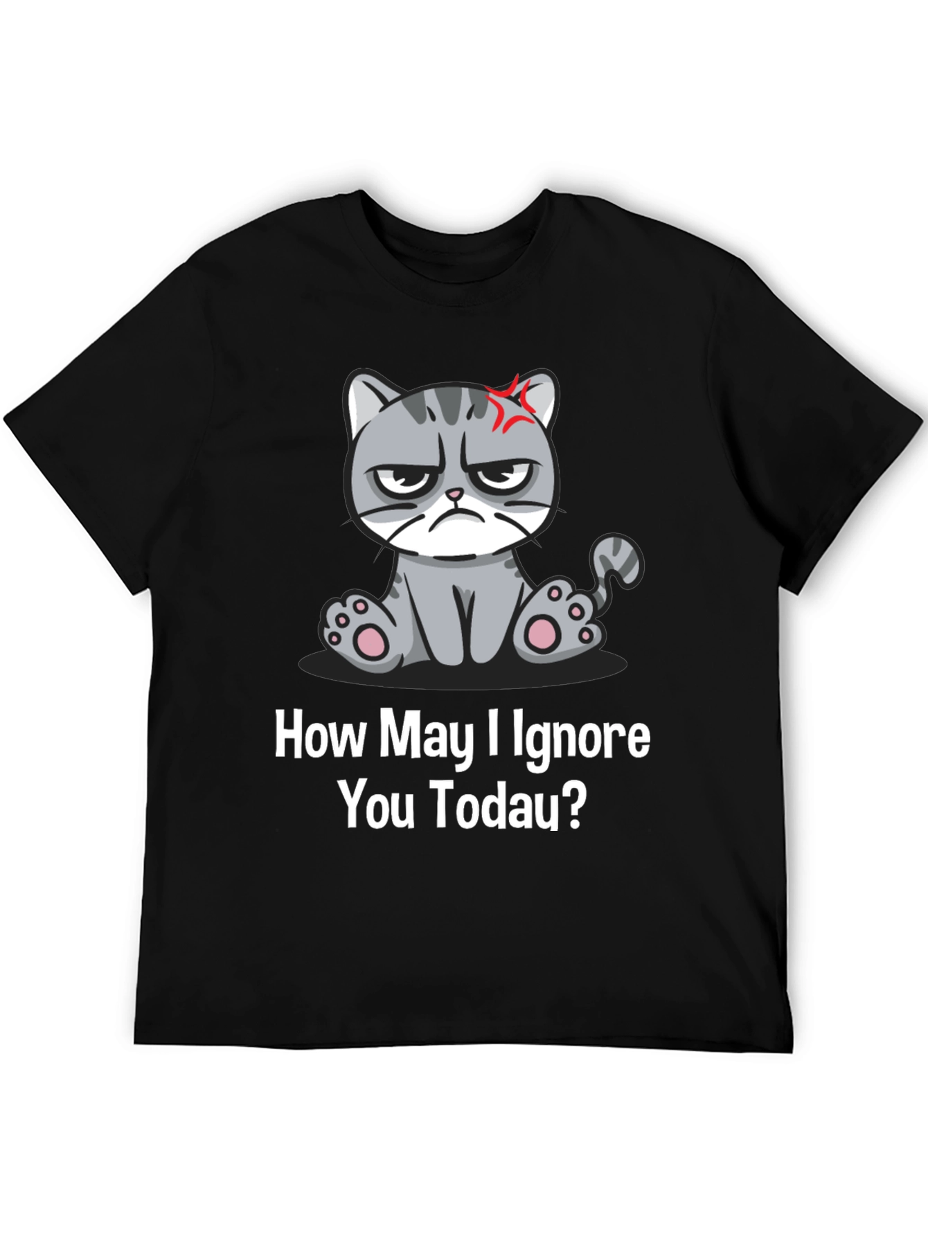 Grumpy Cat Ignore You Today T-Shirt