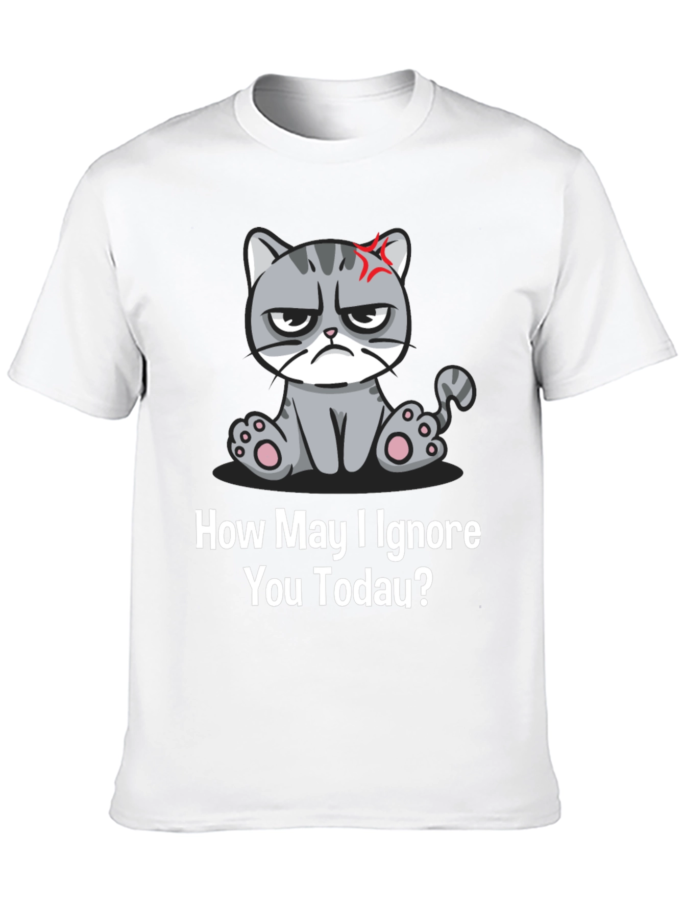 Grumpy Cat Ignore You Today T-Shirt