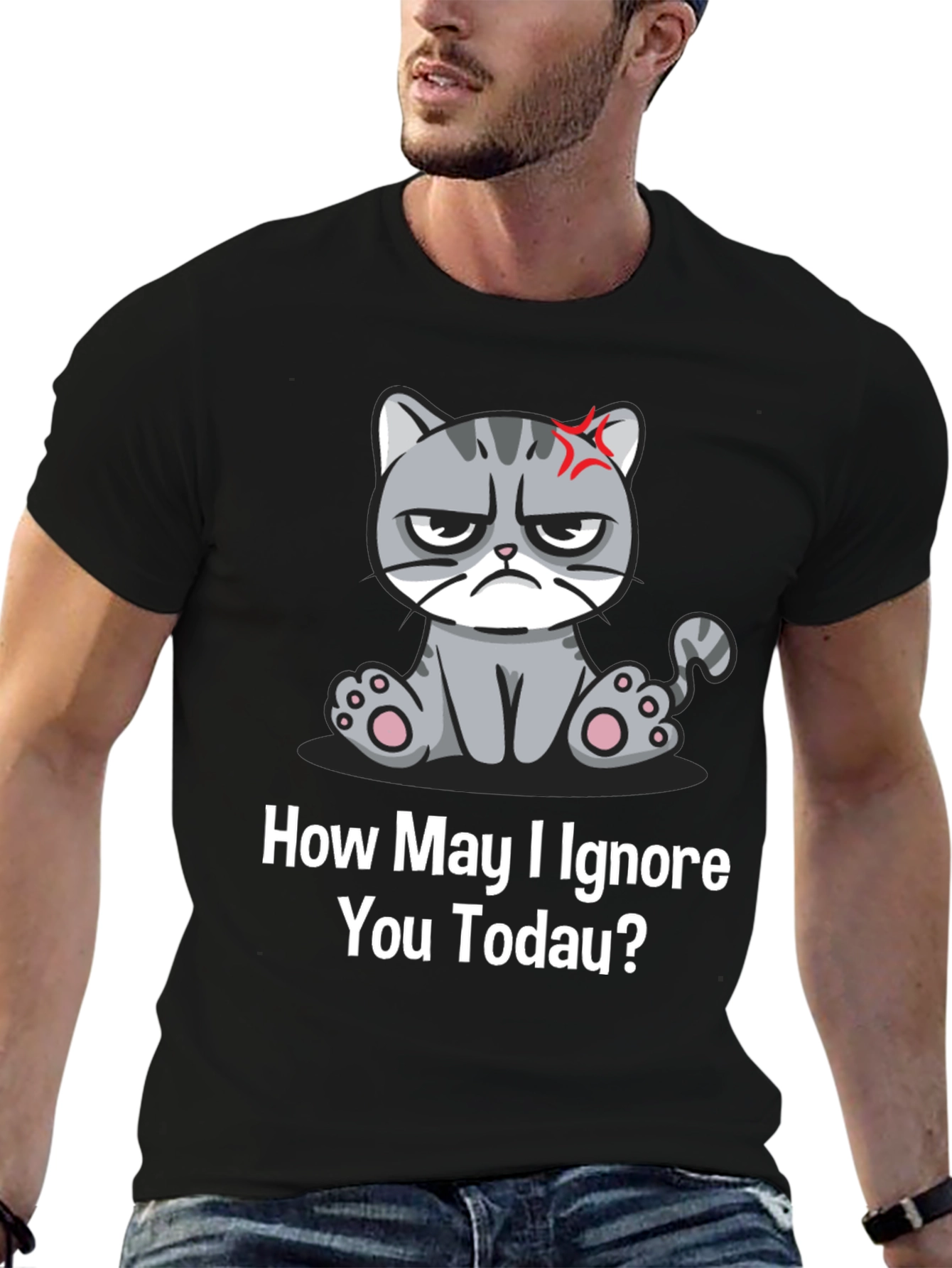 Grumpy Cat Ignore You Today T-Shirt