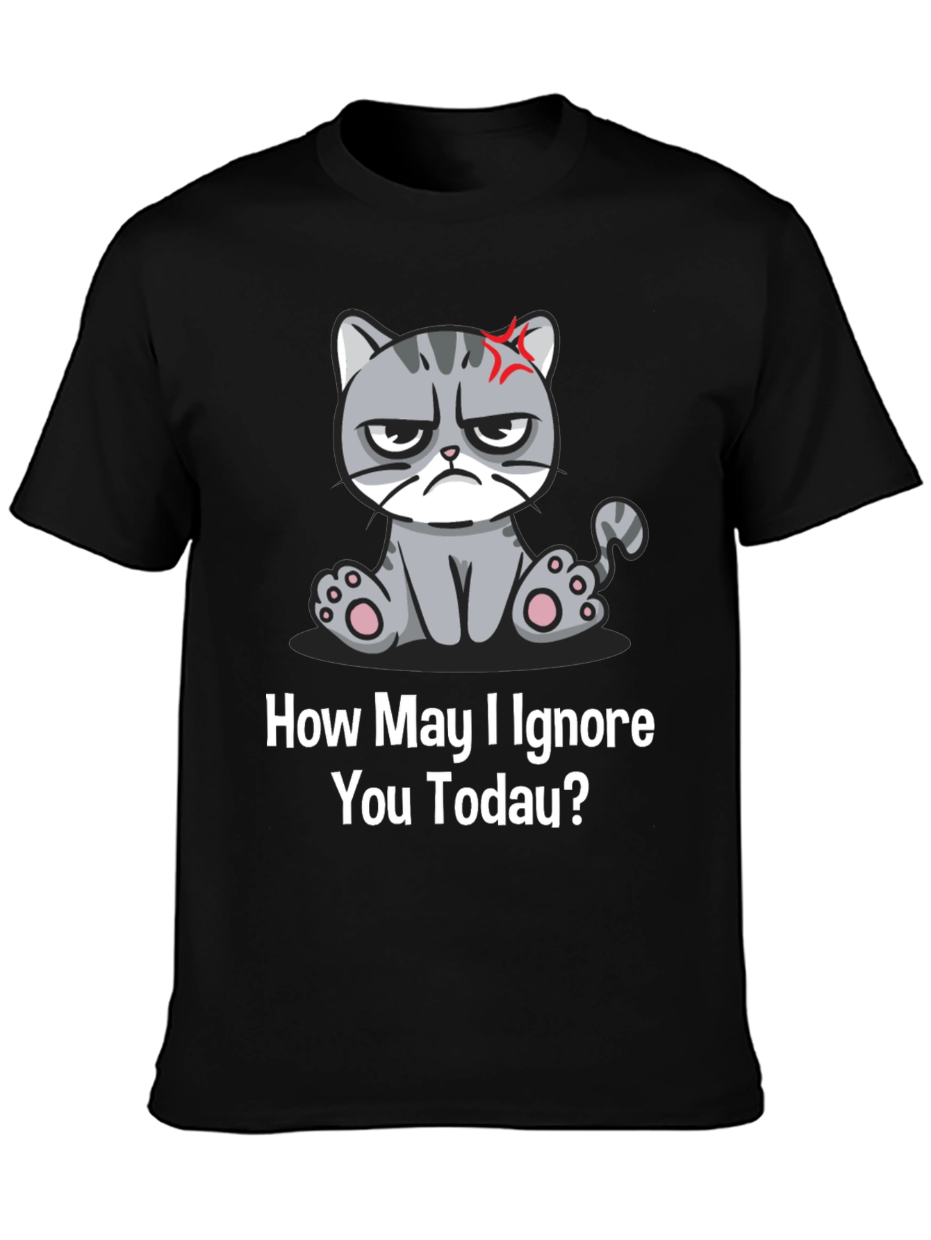 Grumpy Cat Ignore You Today T-Shirt