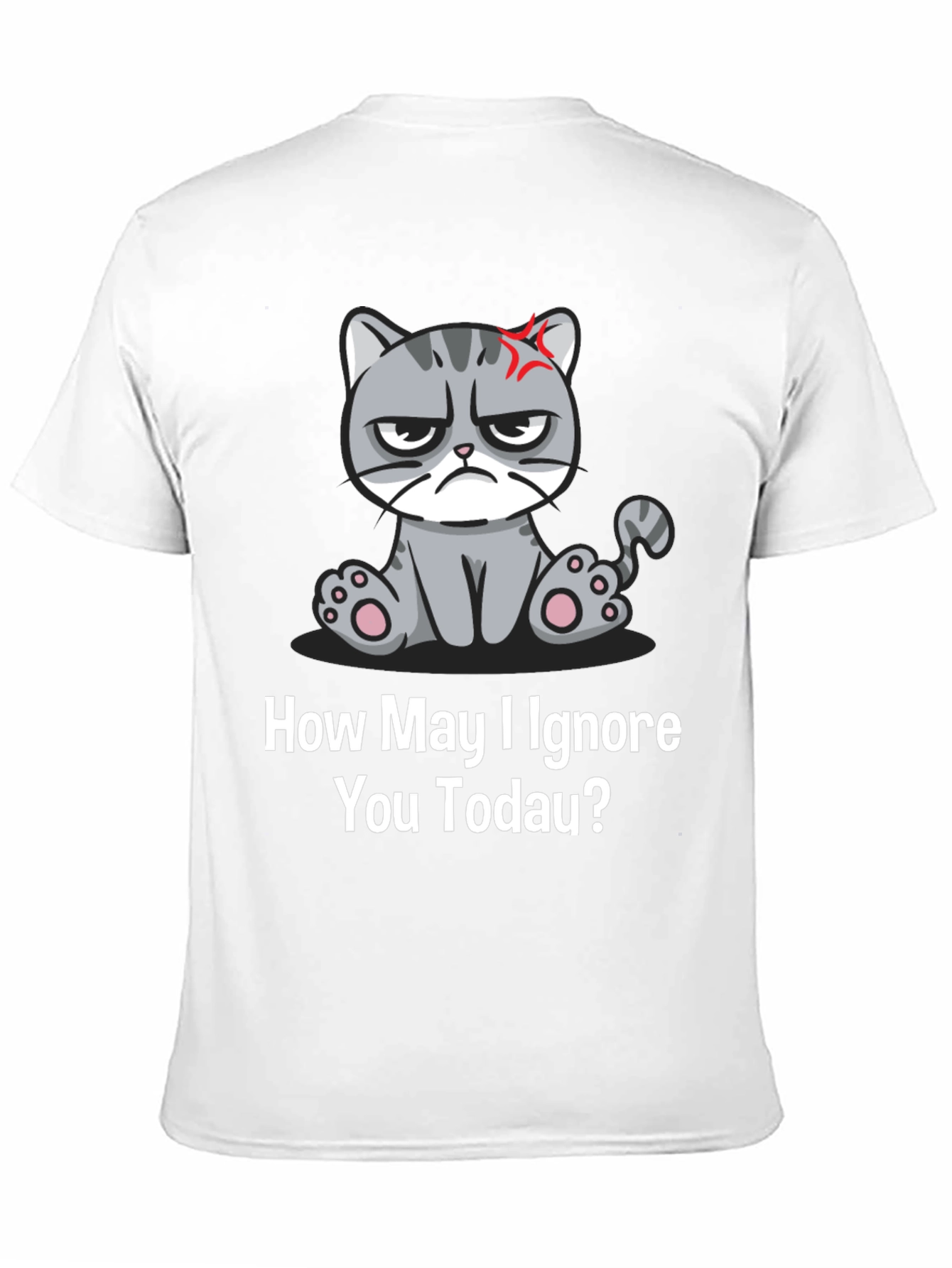 Grumpy Cat Ignore You Today T-Shirt