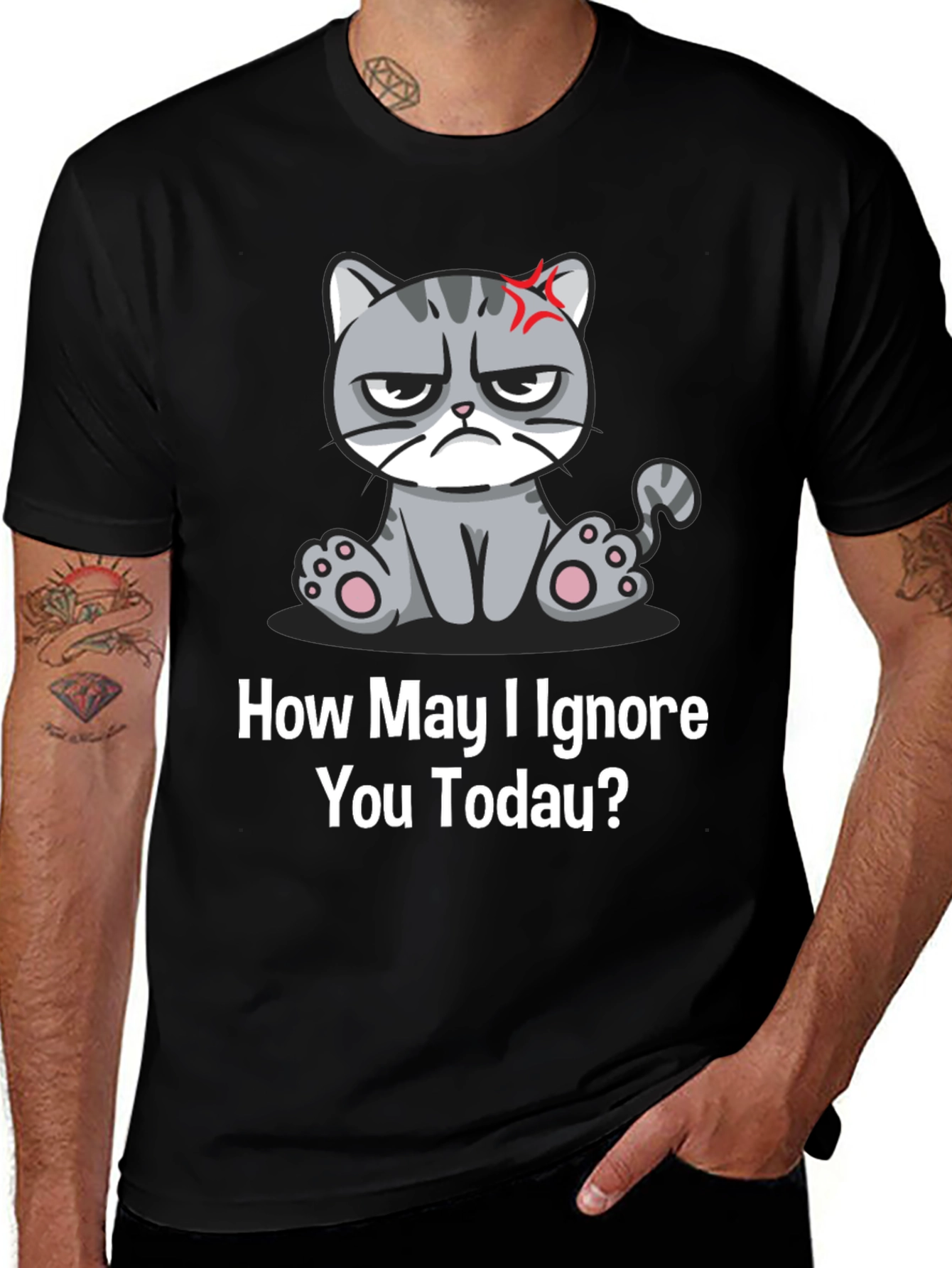 Grumpy Cat Ignore You Today T-Shirt