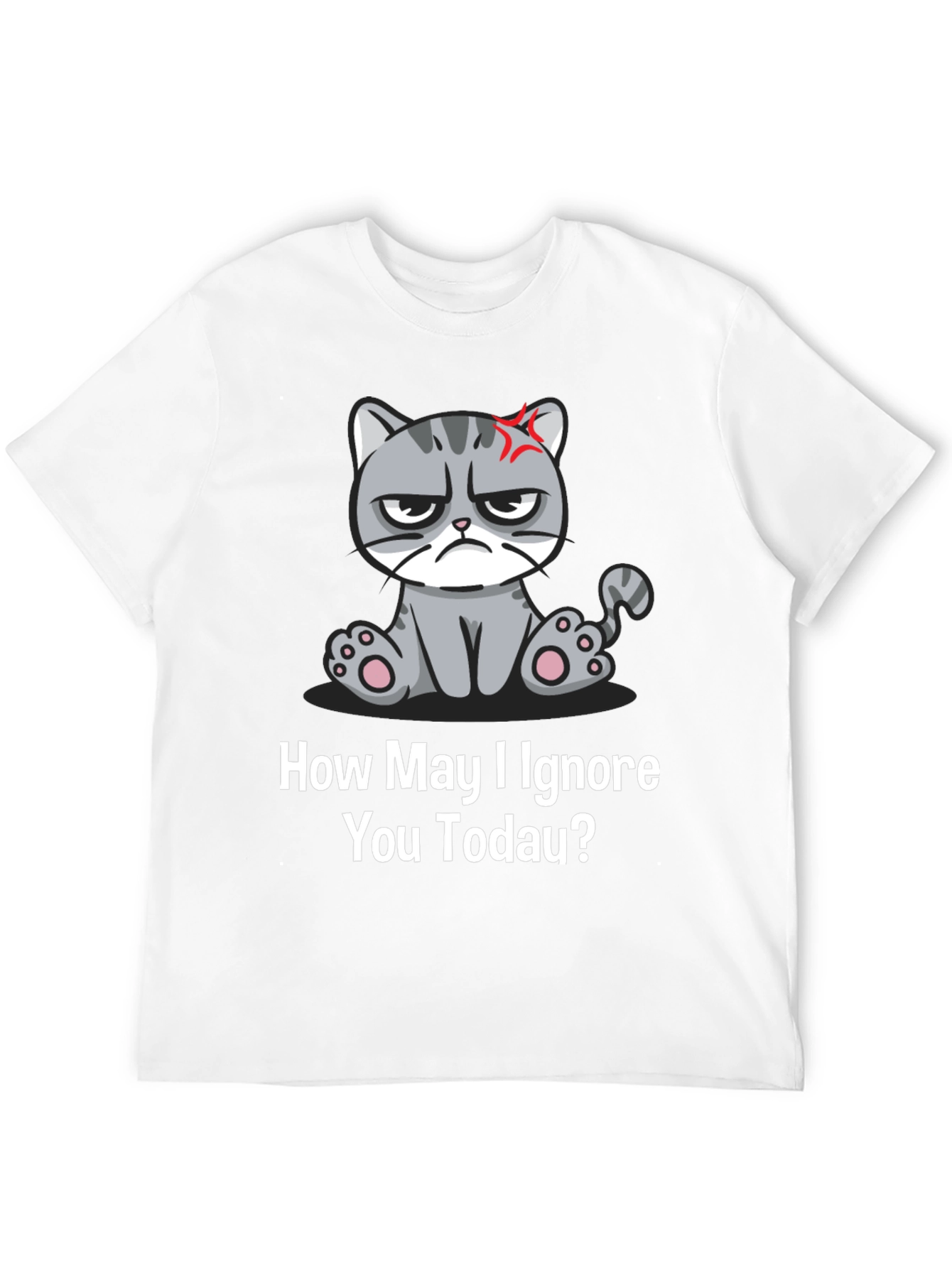 Grumpy Cat Ignore You Today T-Shirt