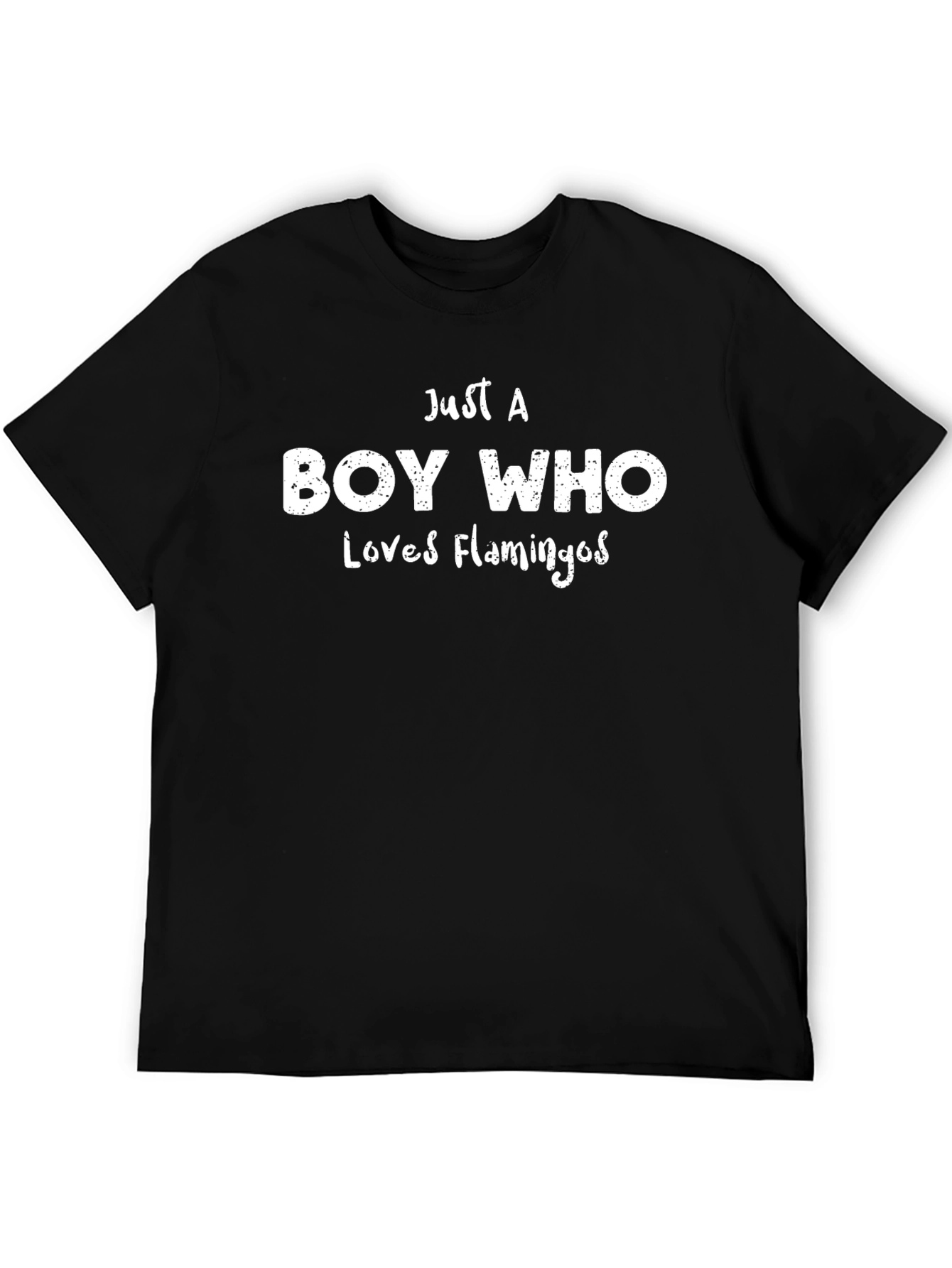 Boy Who Loves Flamingos Black T-Shirt