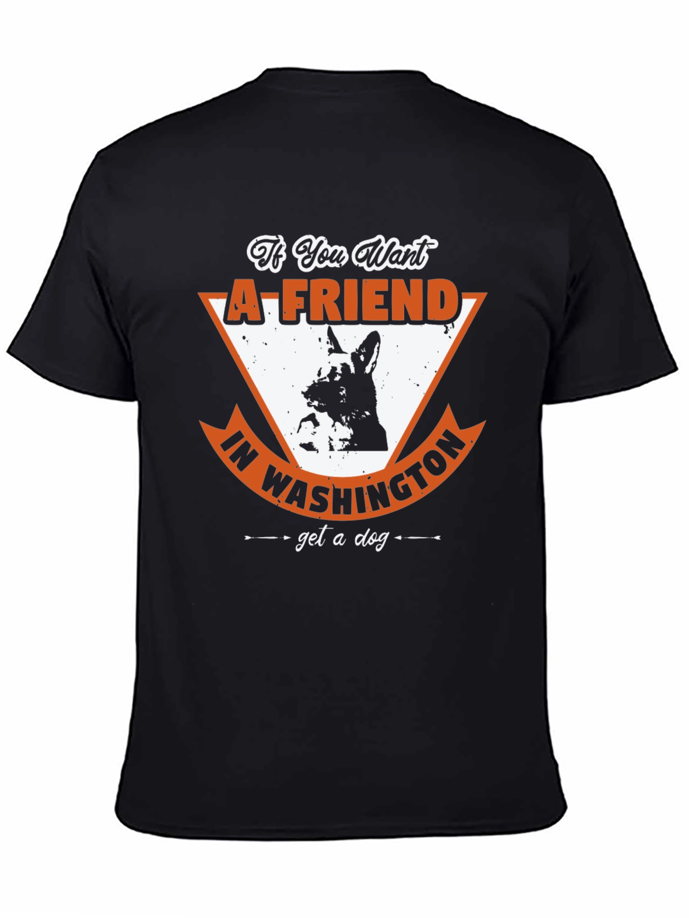 If You Want a Friend in Washington T-Shirt