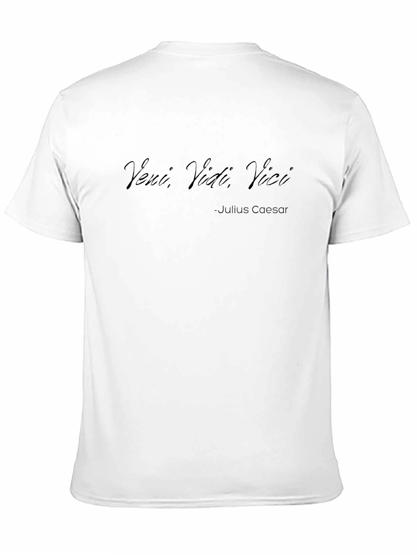 Veni Vidi Vici T-Shirt - Julius Caesar Quote Tee