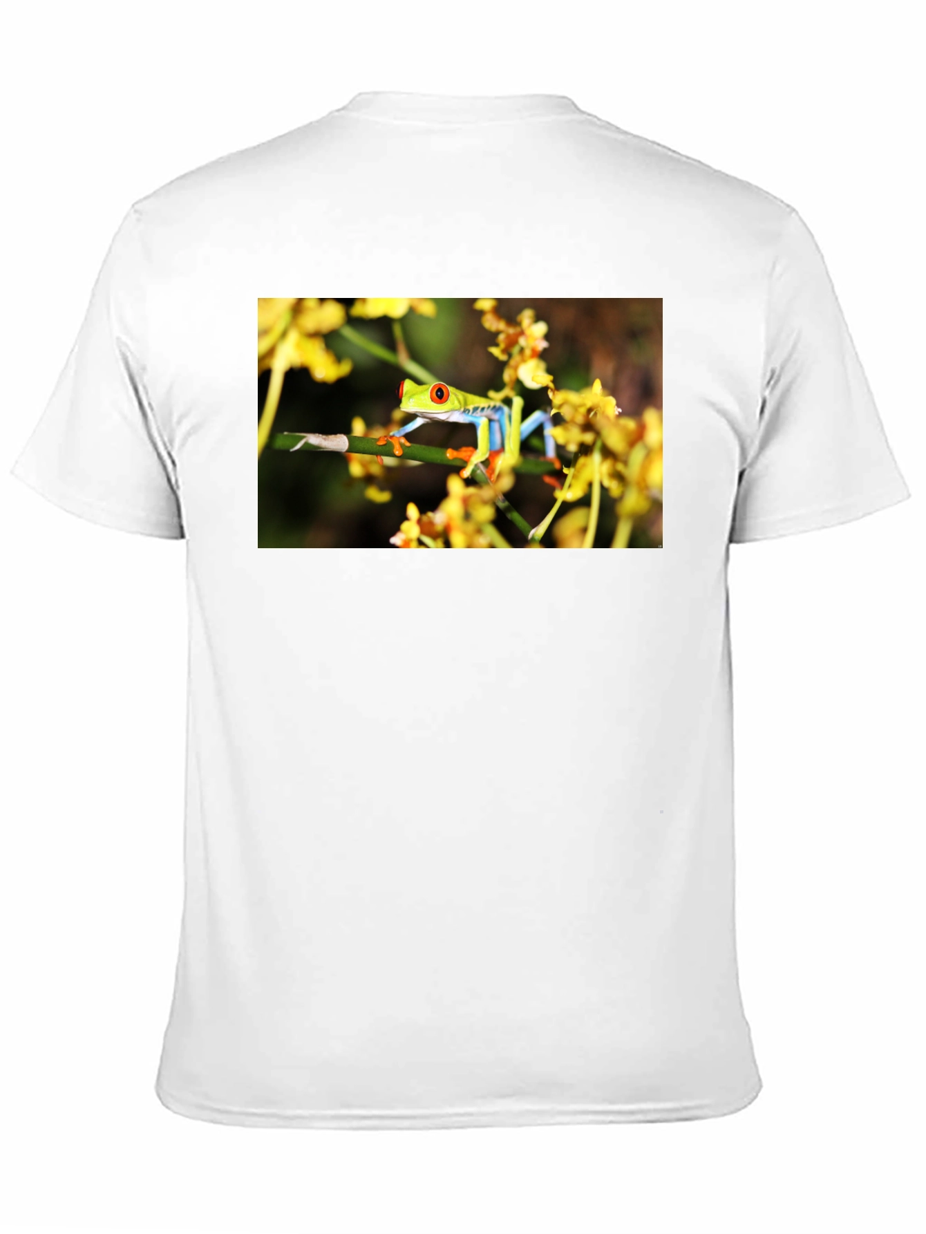 Red Eyed Tree Frog Graphic T-Shirt