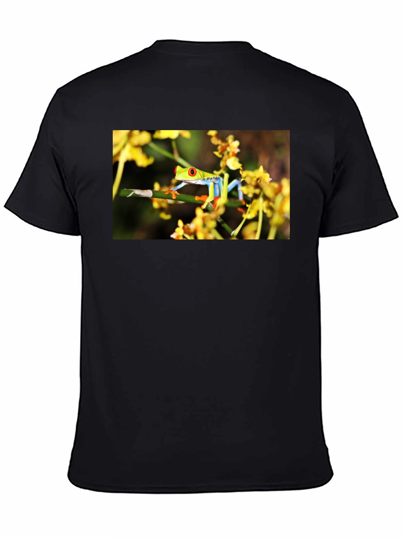 Red Eyed Tree Frog Graphic T-Shirt