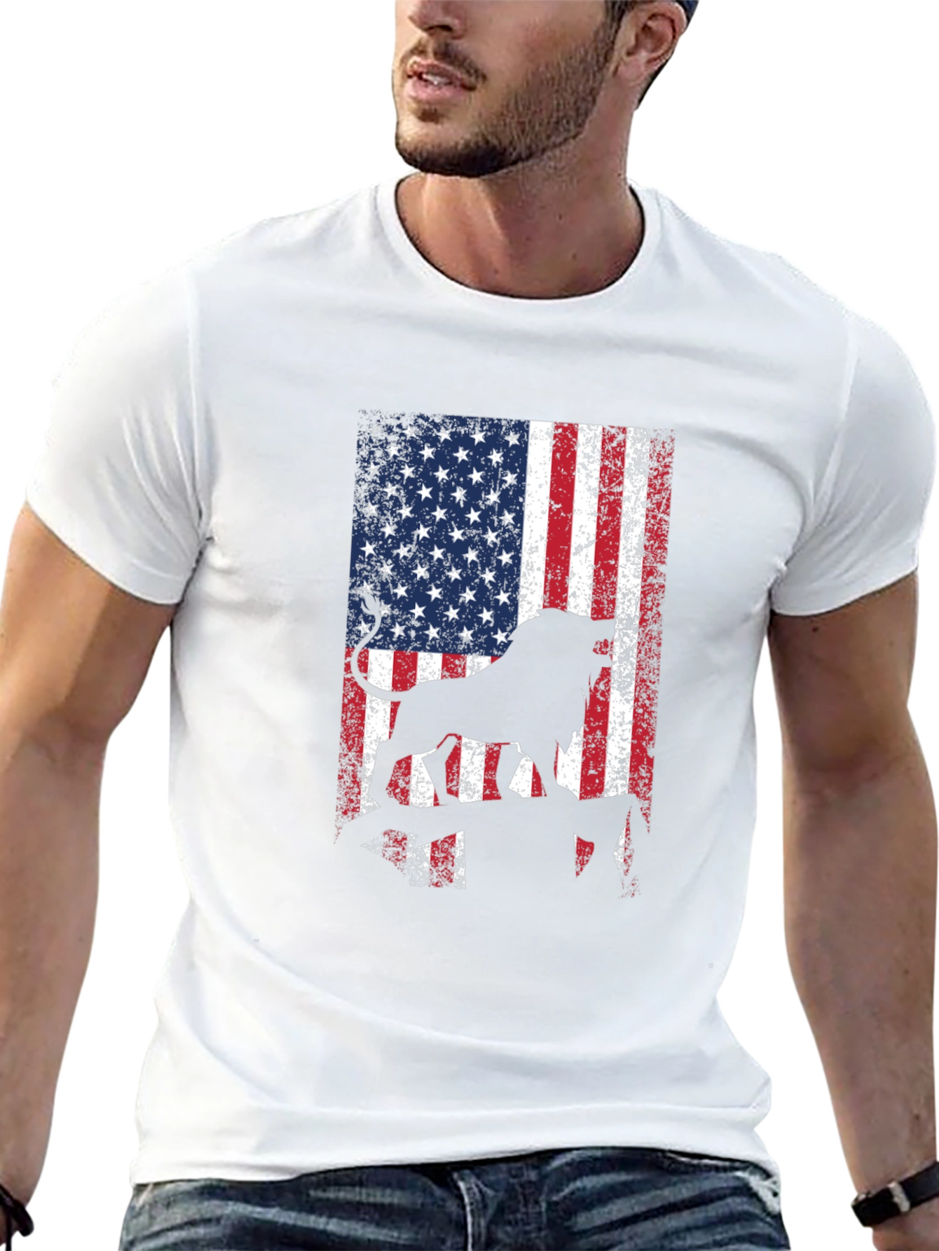 American Flag Lion Graphic Tee