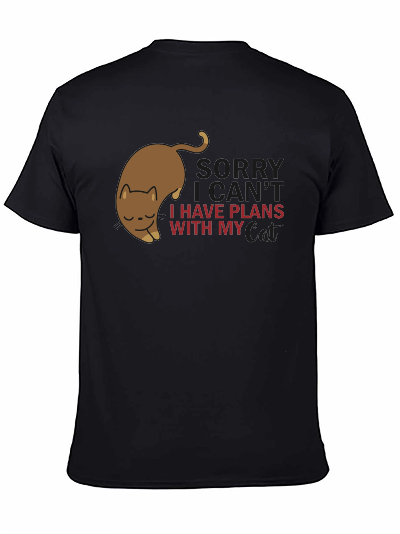Sorry I have Plans With My Cat T-Shirt