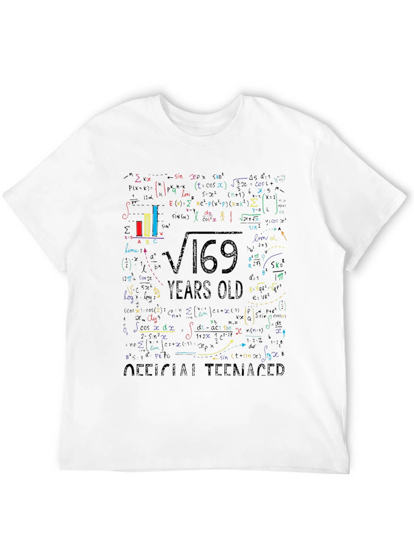 Math Formula 13 Years Old Teenager T-Shirt