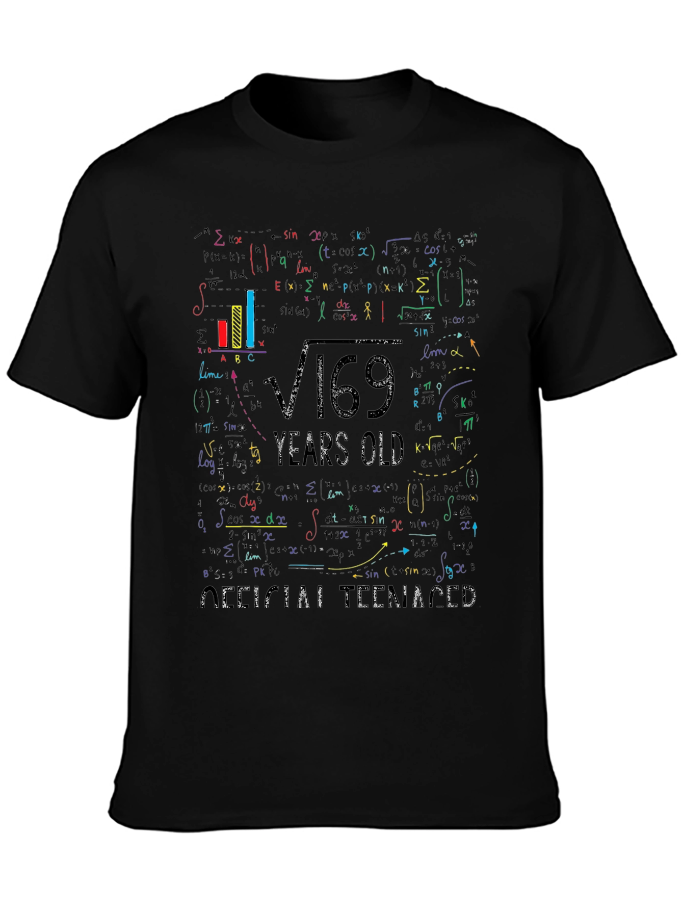 Math Formula 13 Years Old Teenager T-Shirt