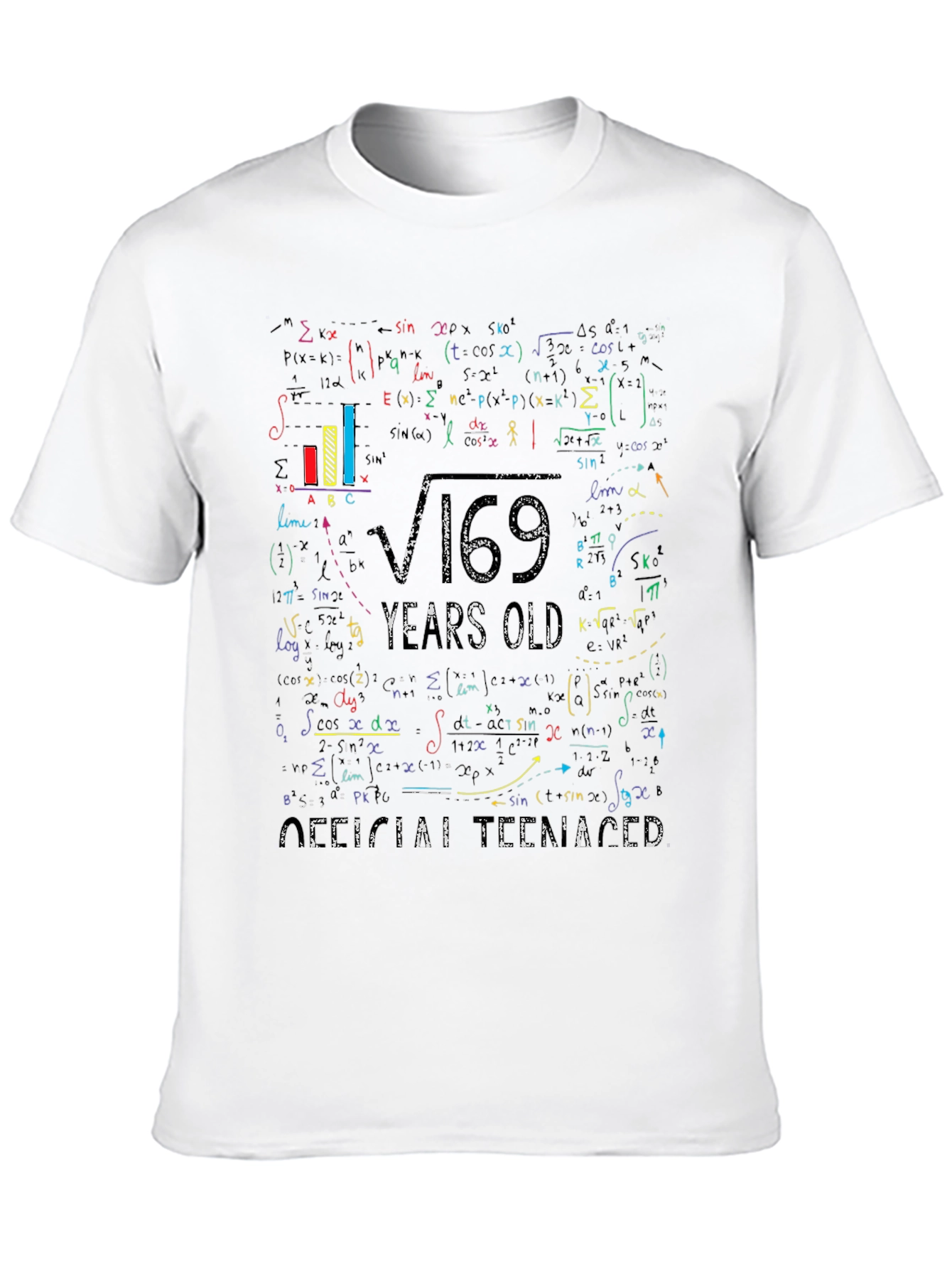 Math Formula 13 Years Old Teenager T-Shirt