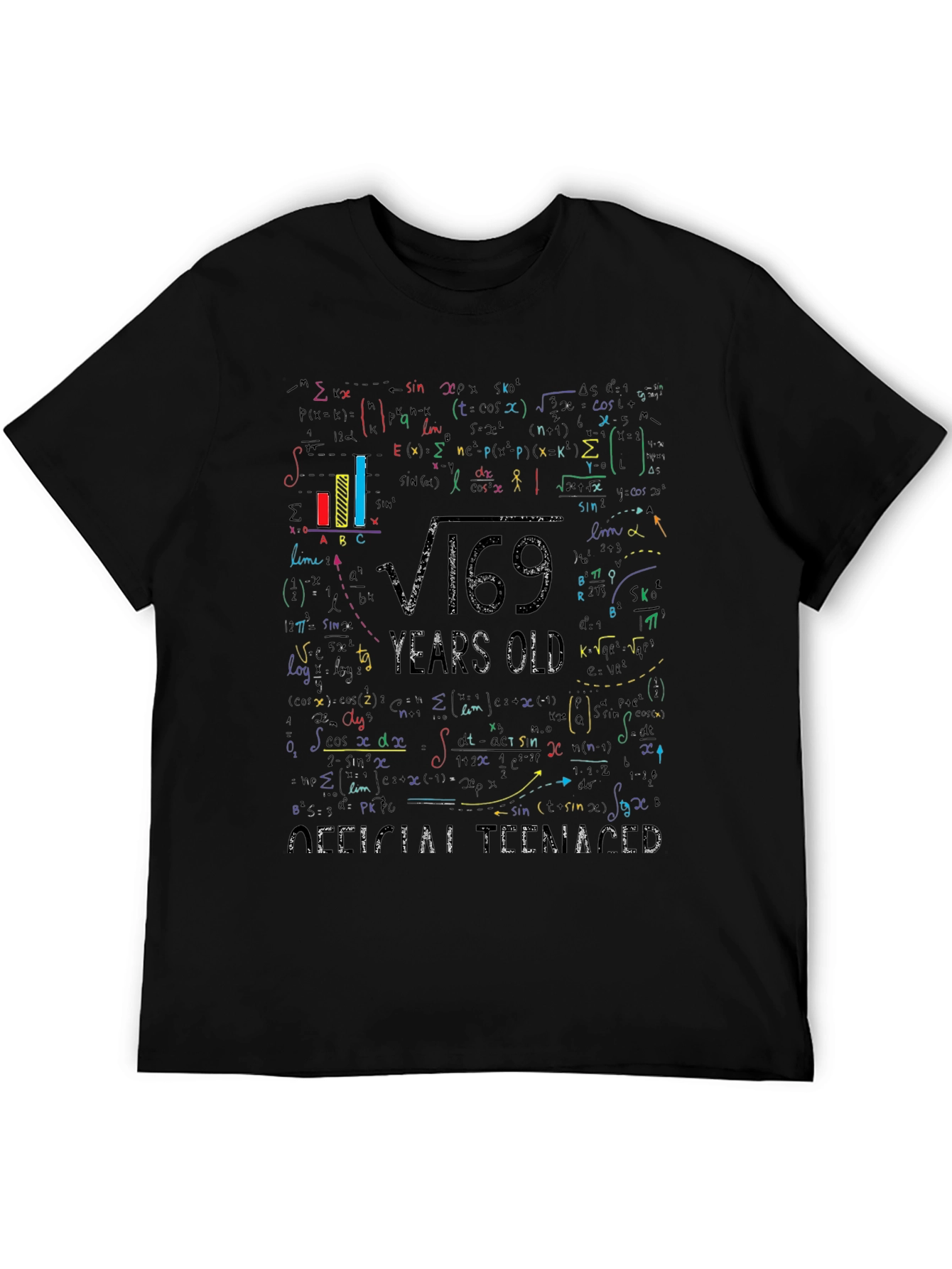 Math Formula 13 Years Old Teenager T-Shirt