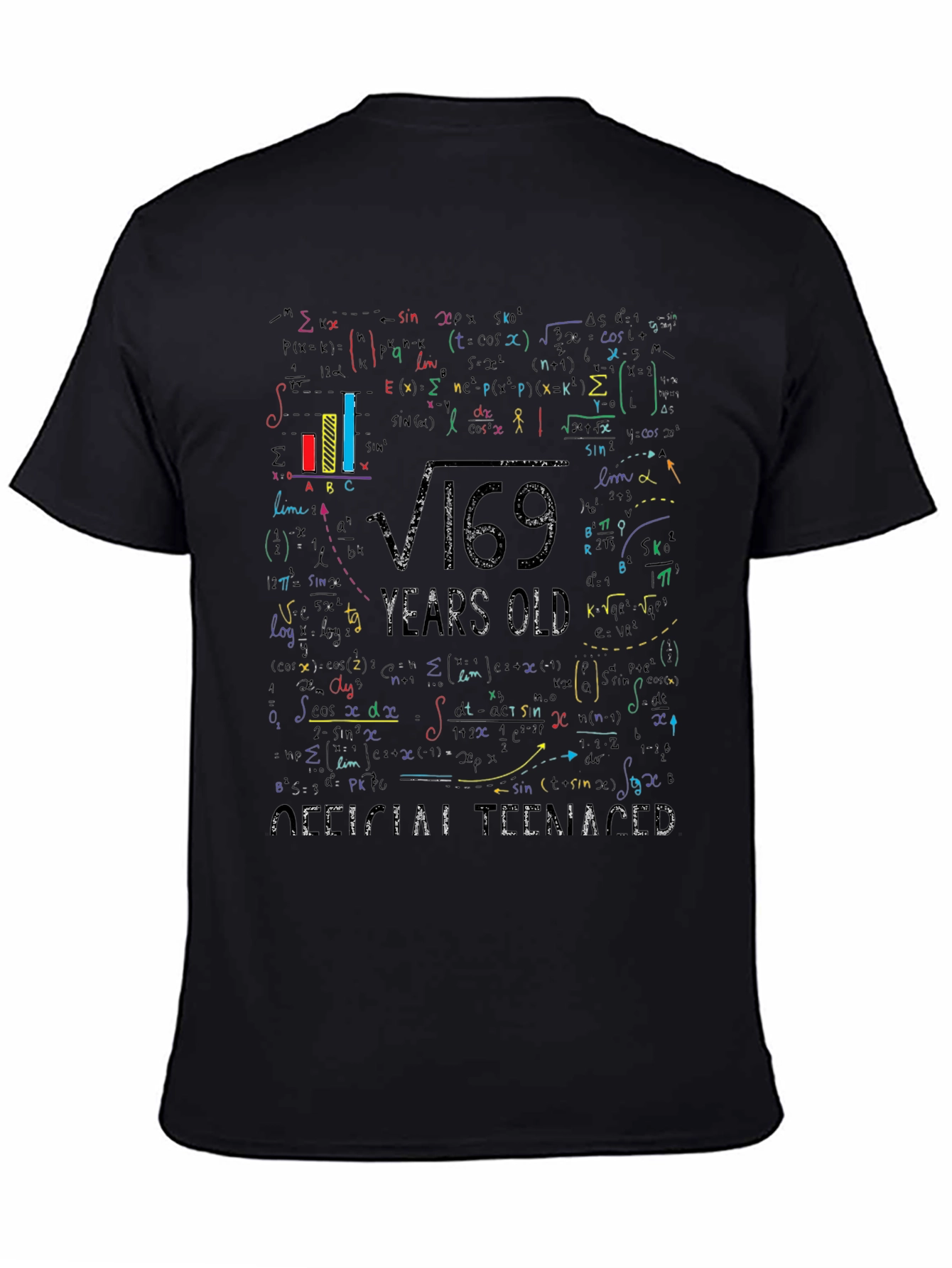 Math Formula 13 Years Old Teenager T-Shirt