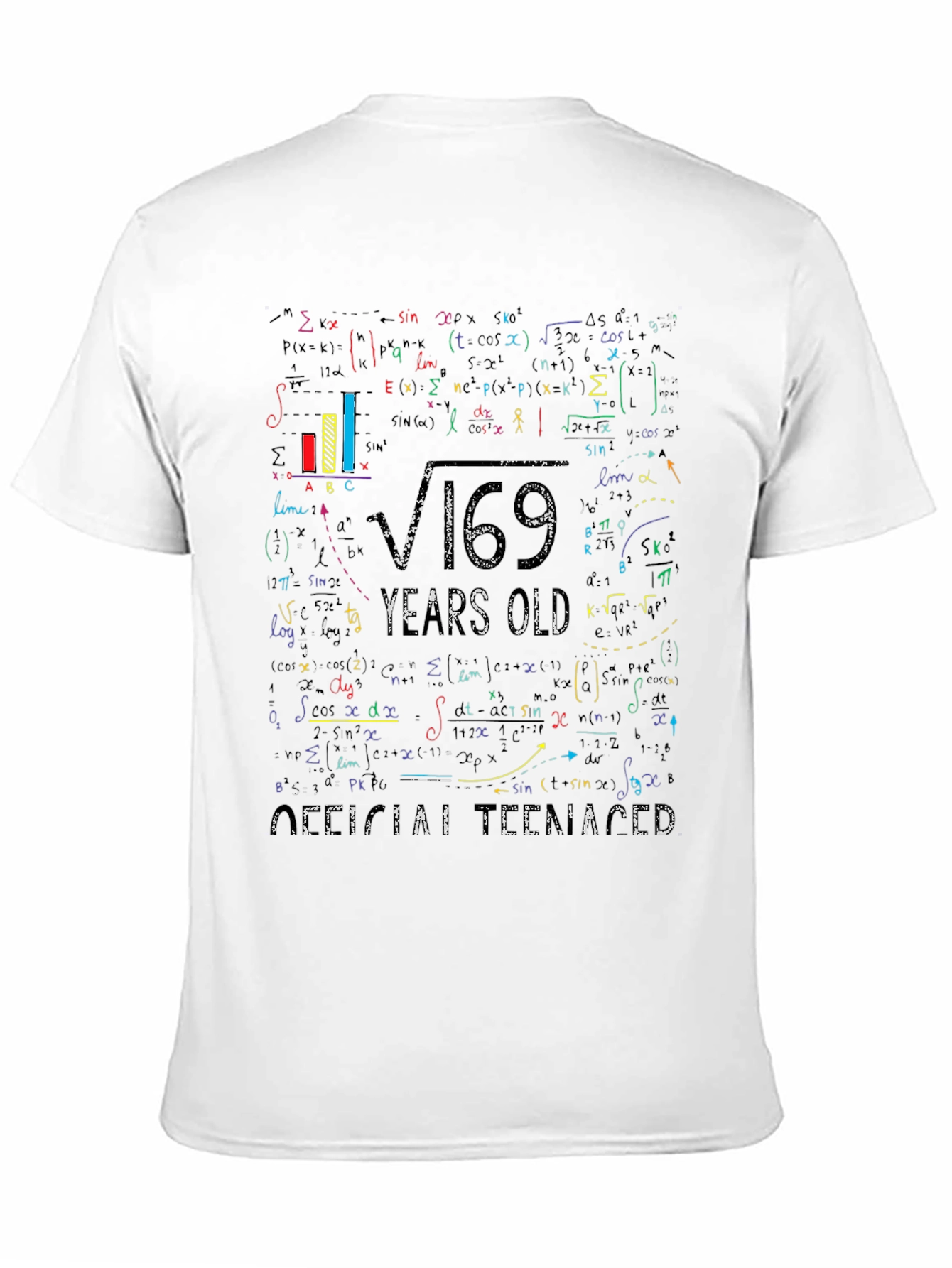 Math Formula 13 Years Old Teenager T-Shirt