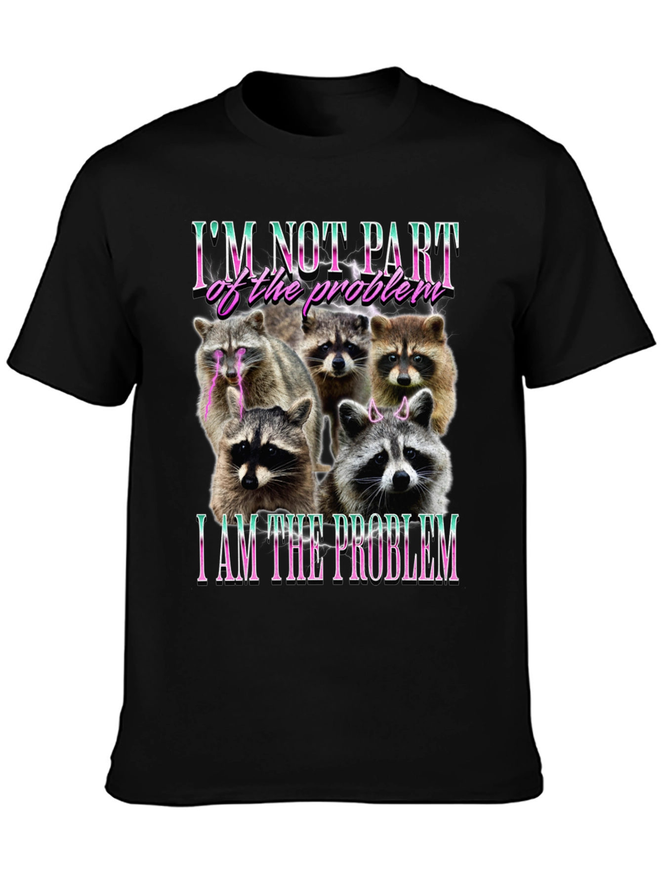 Raccoon I am the Problem Graphic T-Shirt