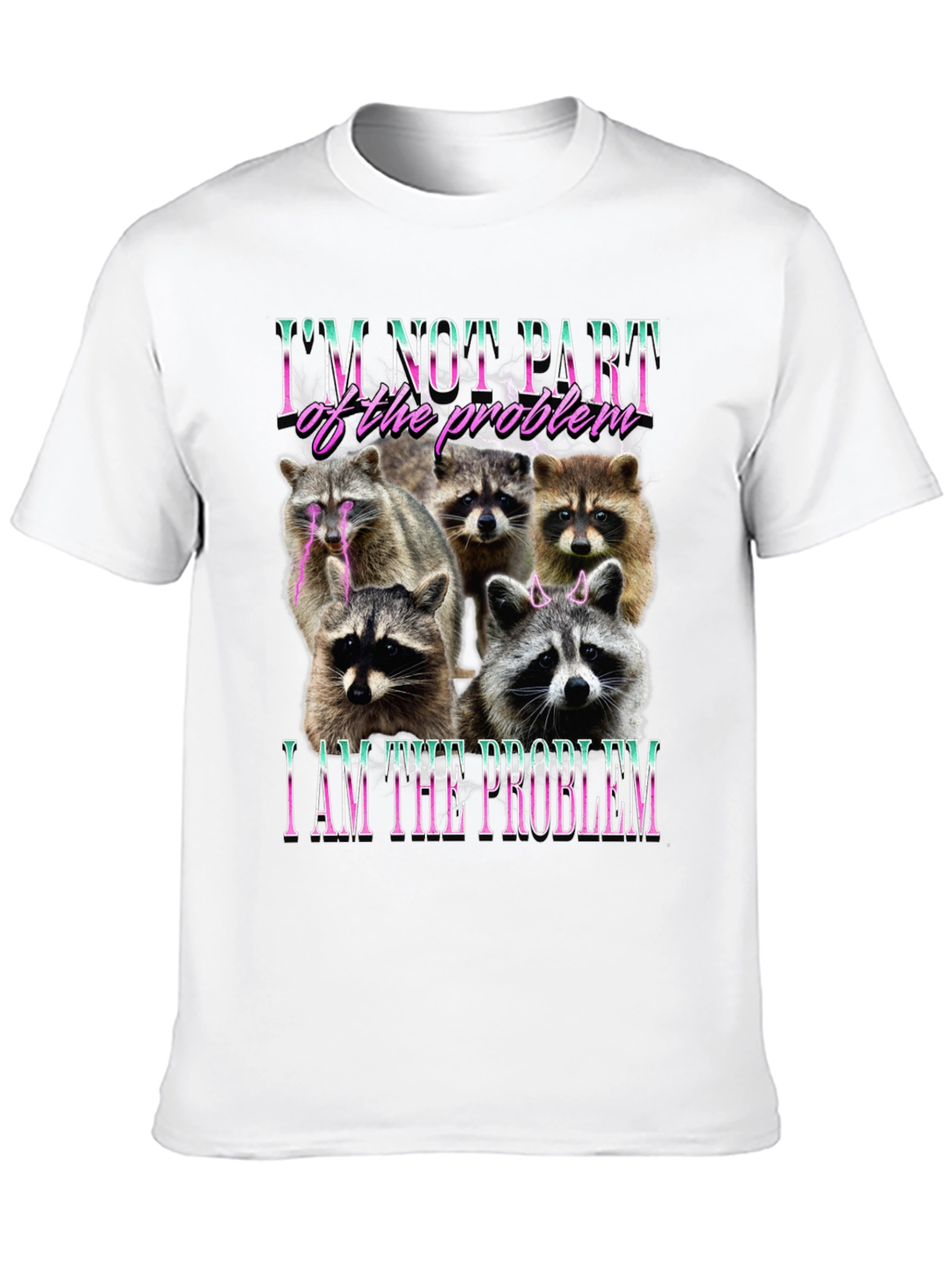 Raccoon I am the Problem Graphic T-Shirt