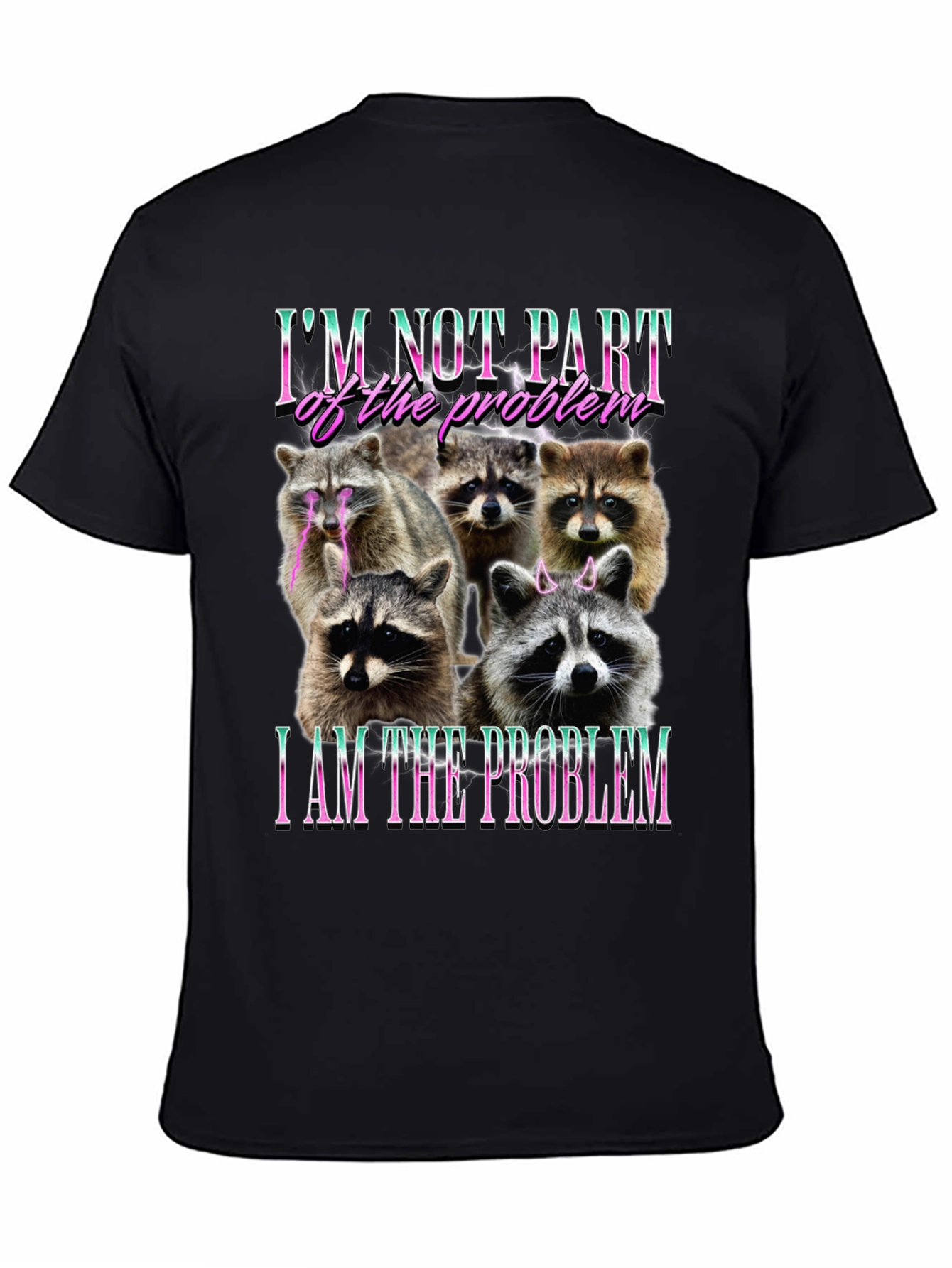 Raccoon I am the Problem Graphic T-Shirt