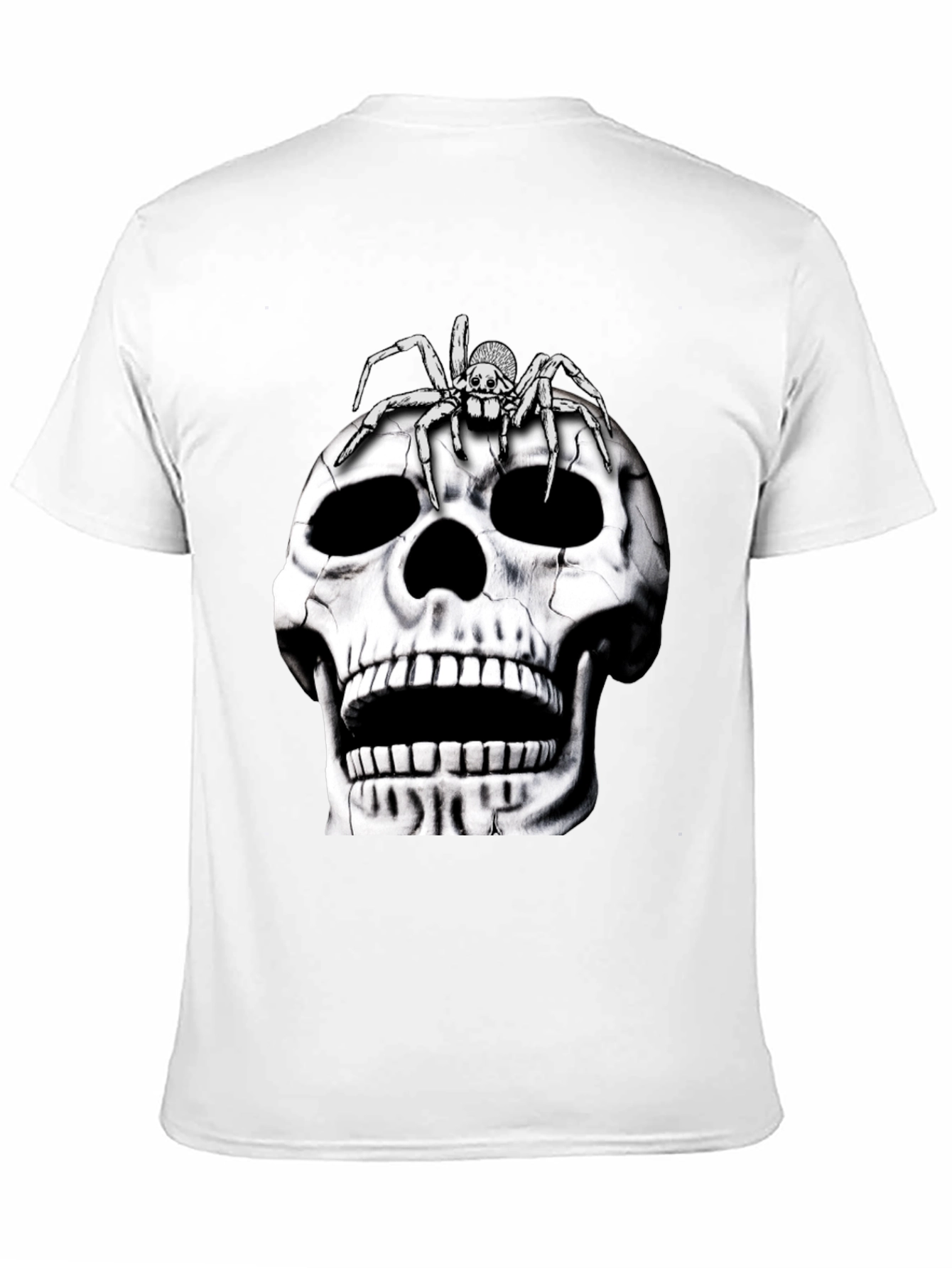 Skull and Spider Graphic T-Shirt
