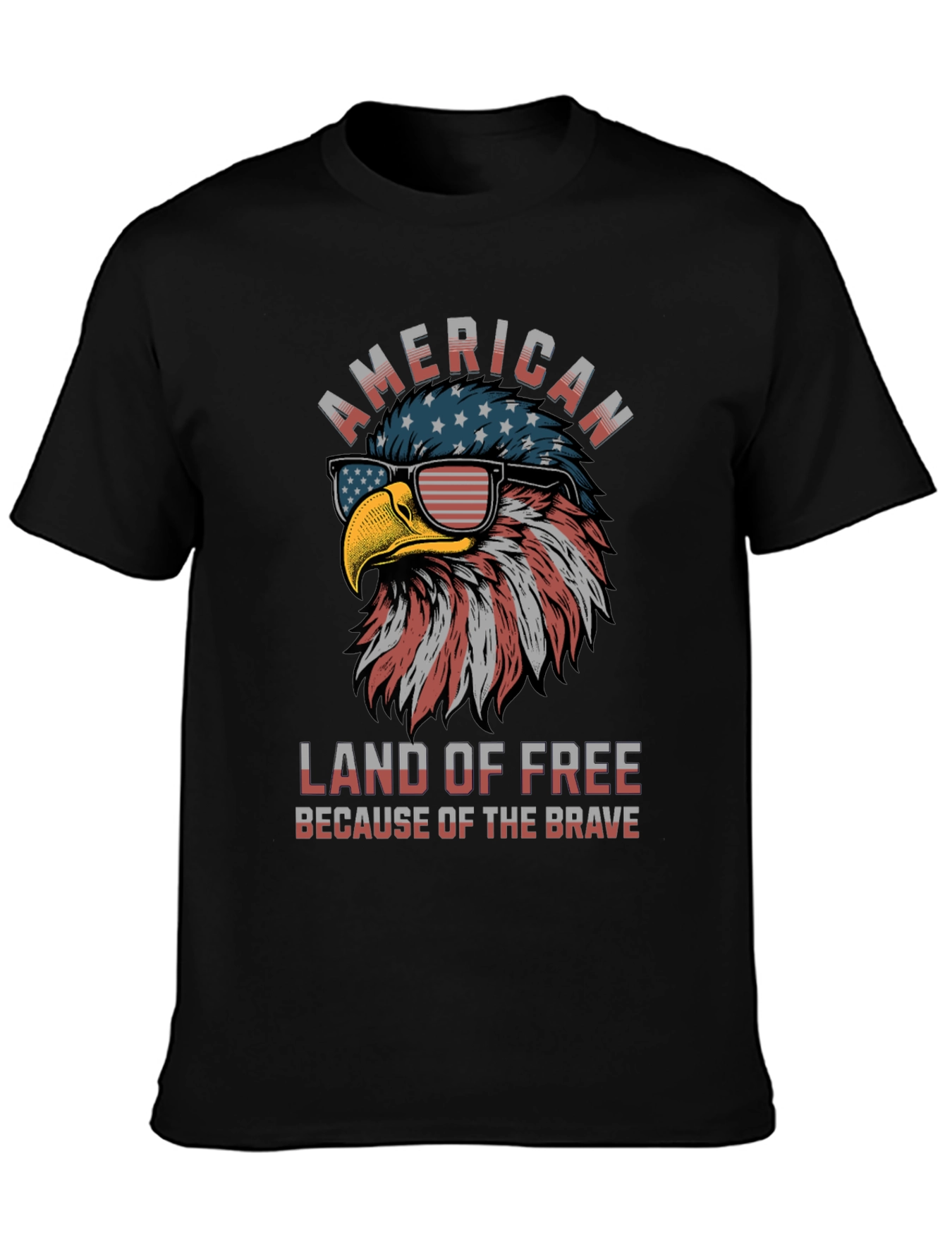 American Eagle Graphic T-Shirt - Land of the Free