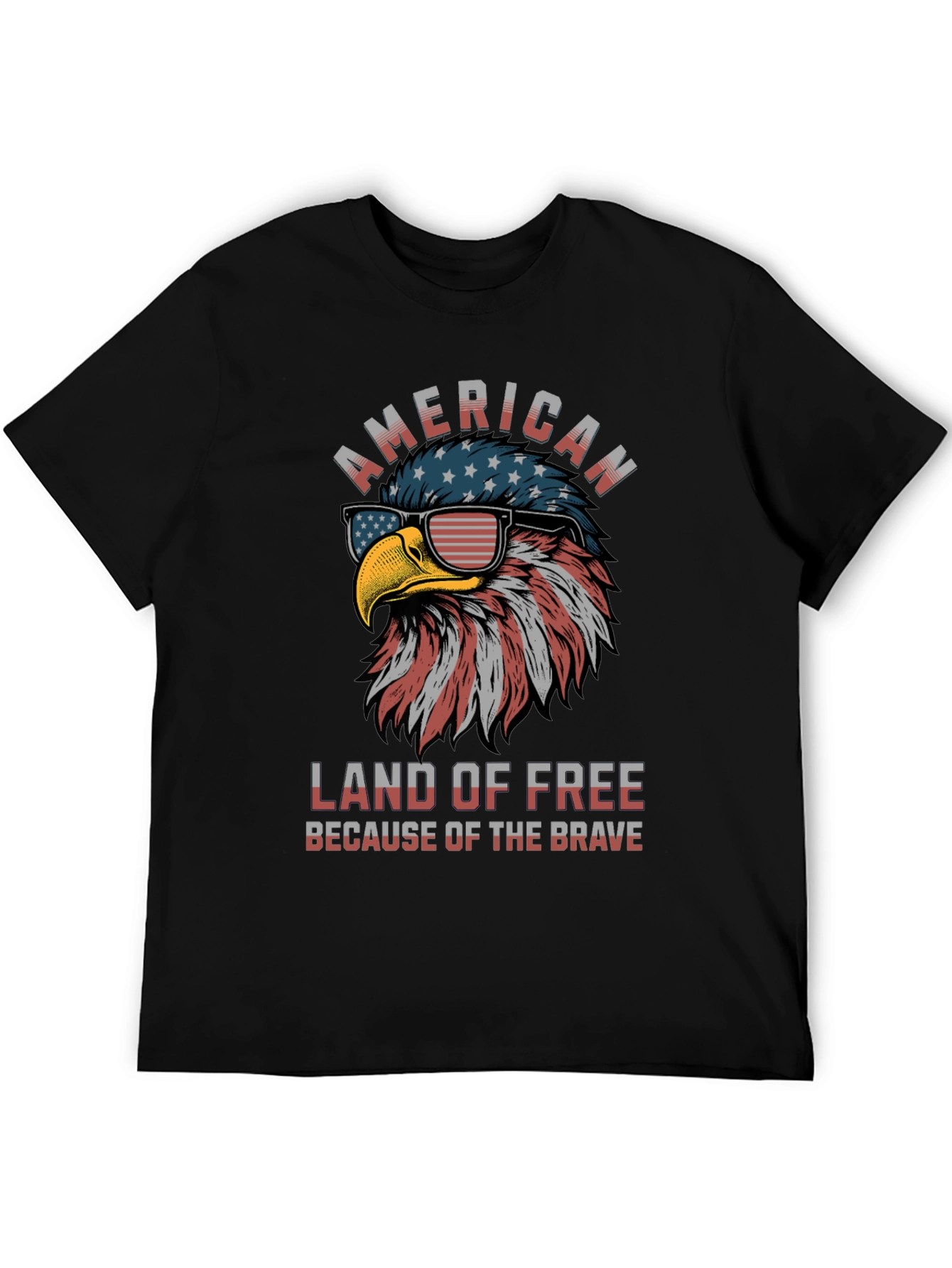 American Eagle Graphic T-Shirt - Land of the Free