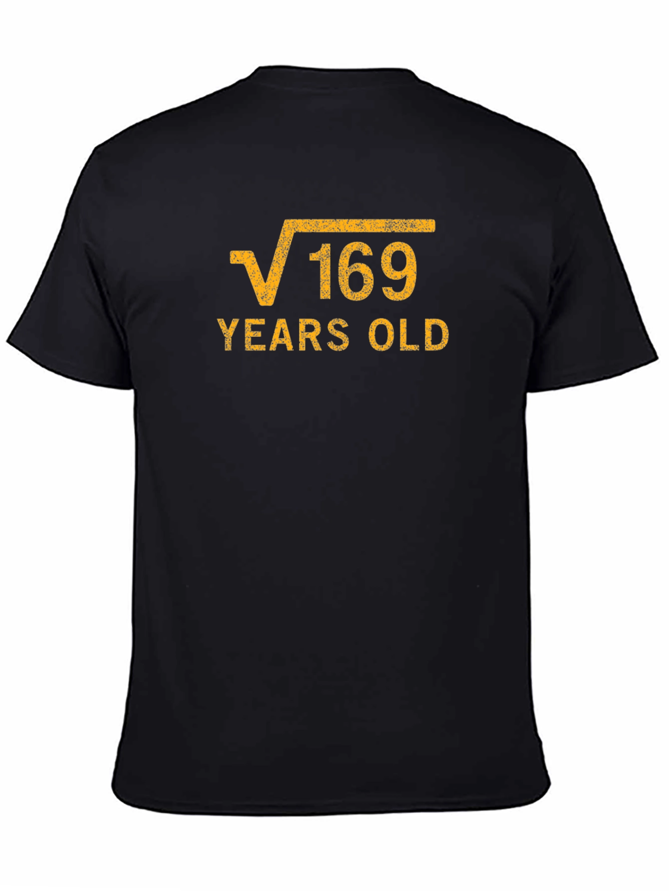 Funny 13th Birthday Square Root of 169 T-Shirt