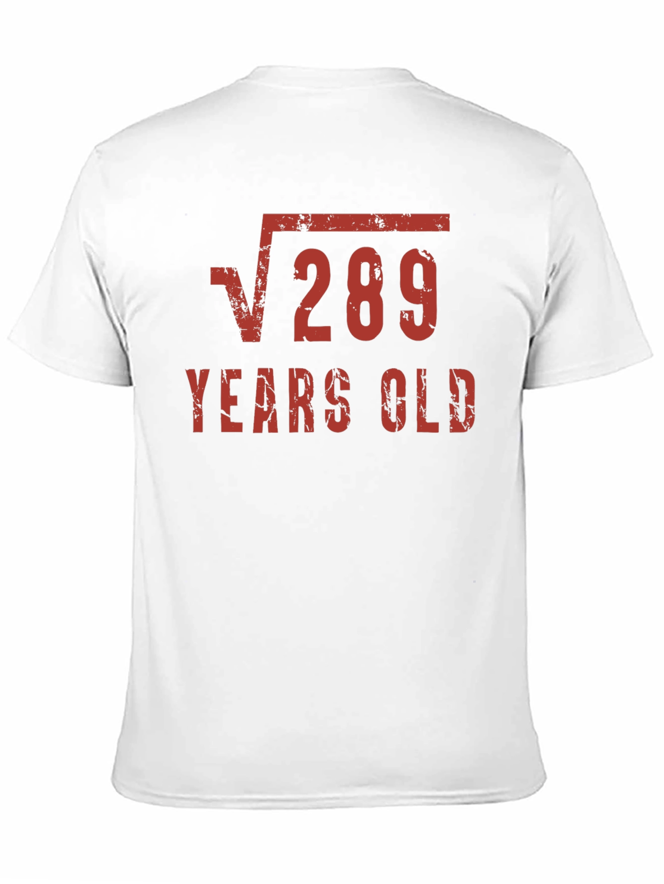 Funny 17th Birthday Shirt - Square Root of 289