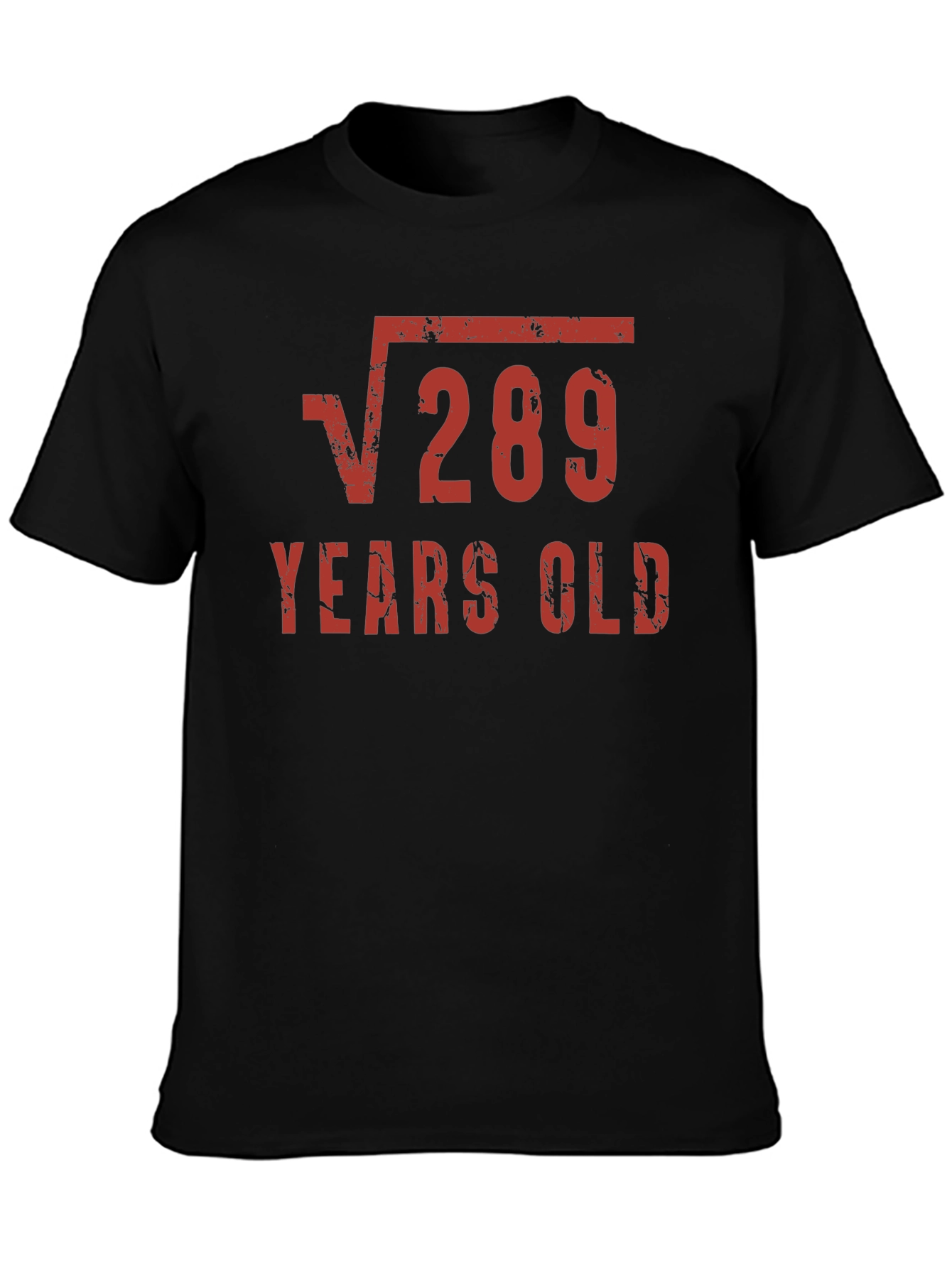 Funny 17th Birthday Shirt - Square Root of 289