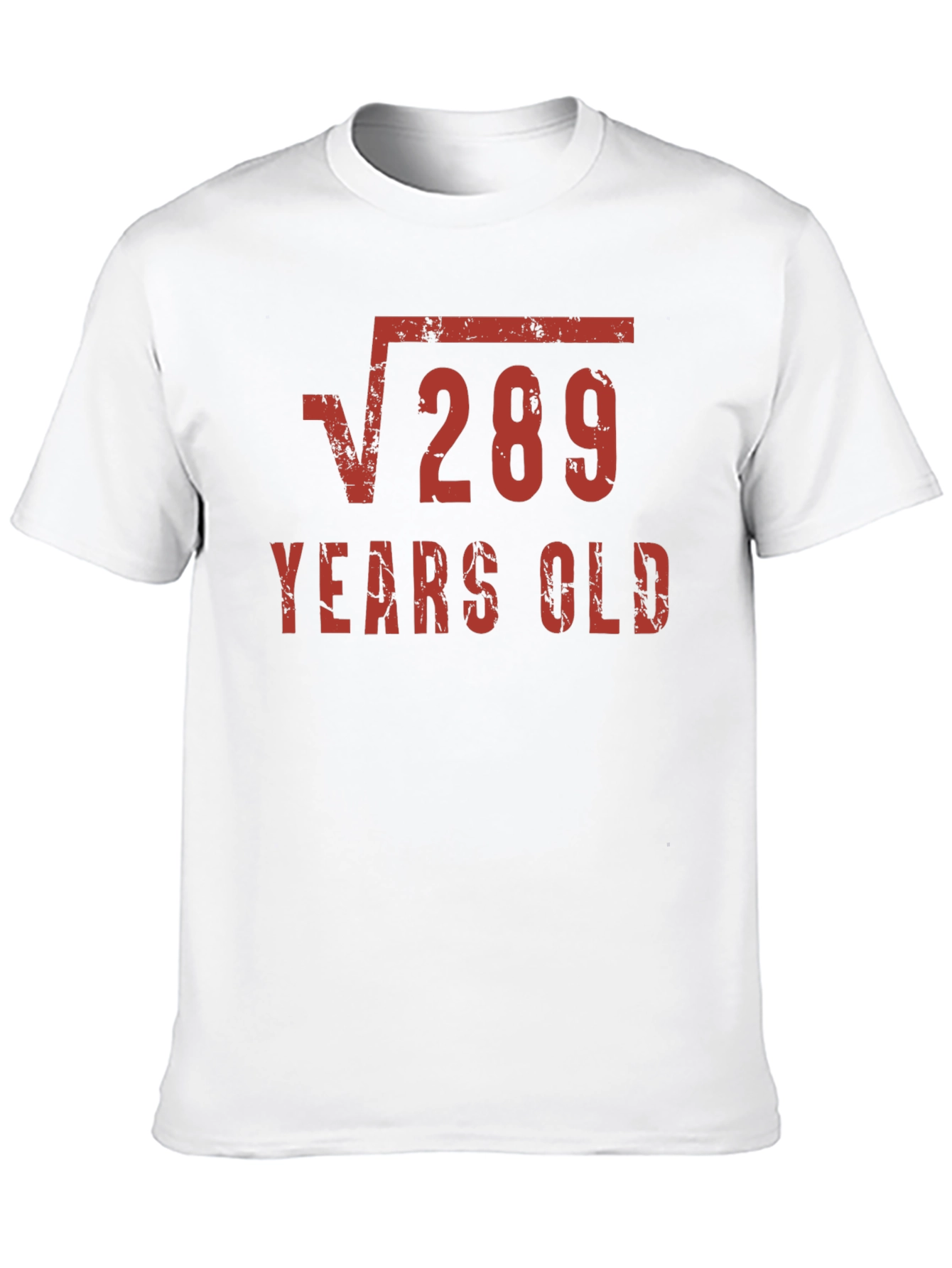 Funny 17th Birthday Shirt - Square Root of 289