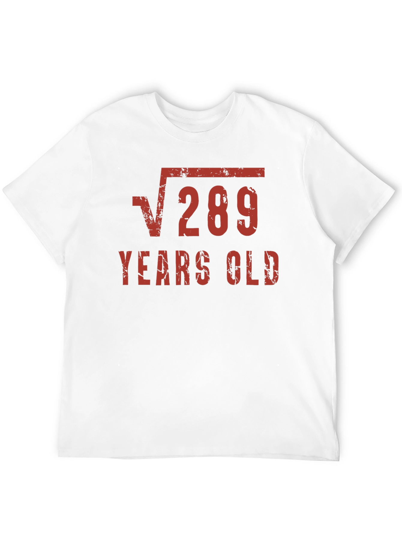 Funny 17th Birthday Shirt - Square Root of 289
