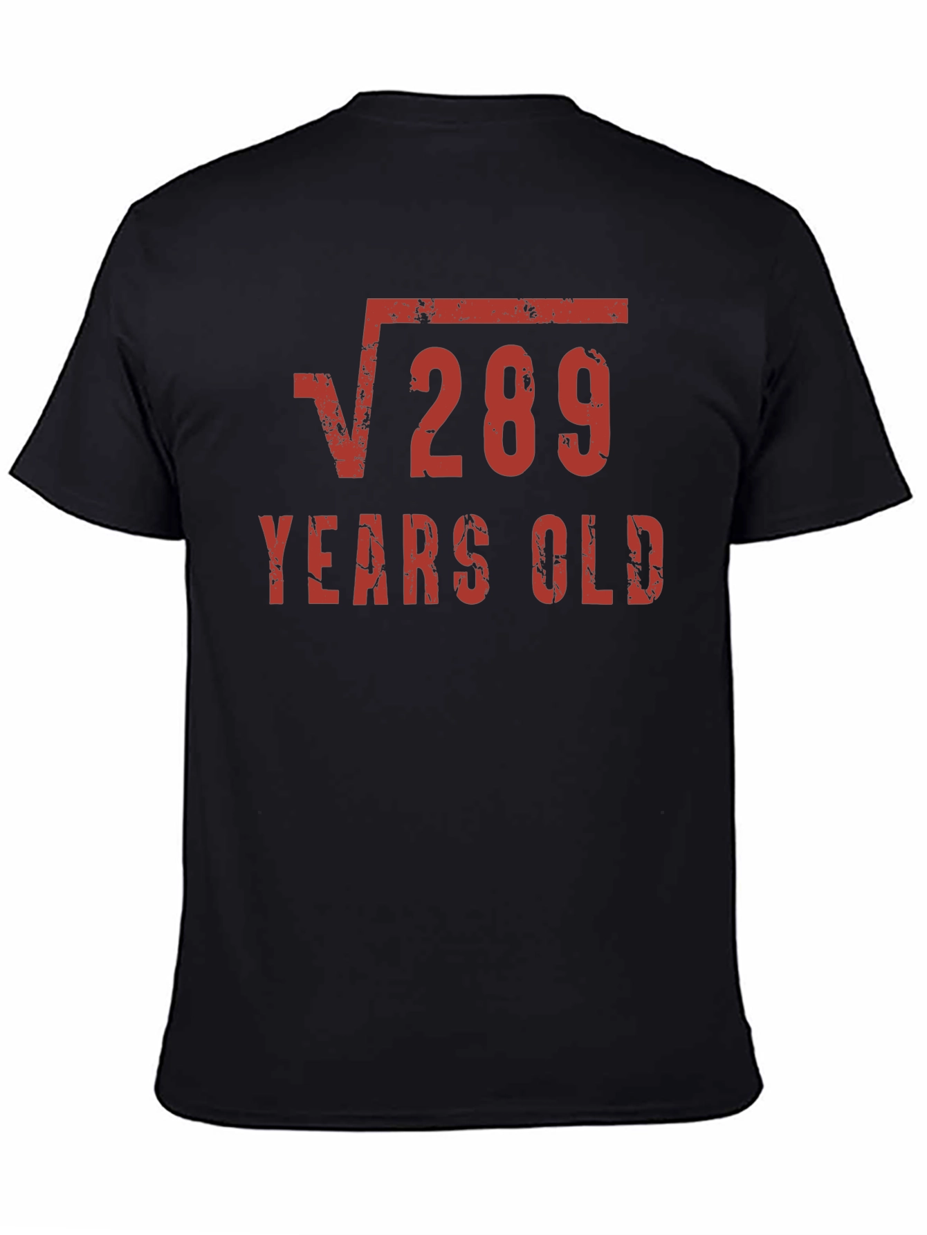 Funny 17th Birthday Shirt - Square Root of 289