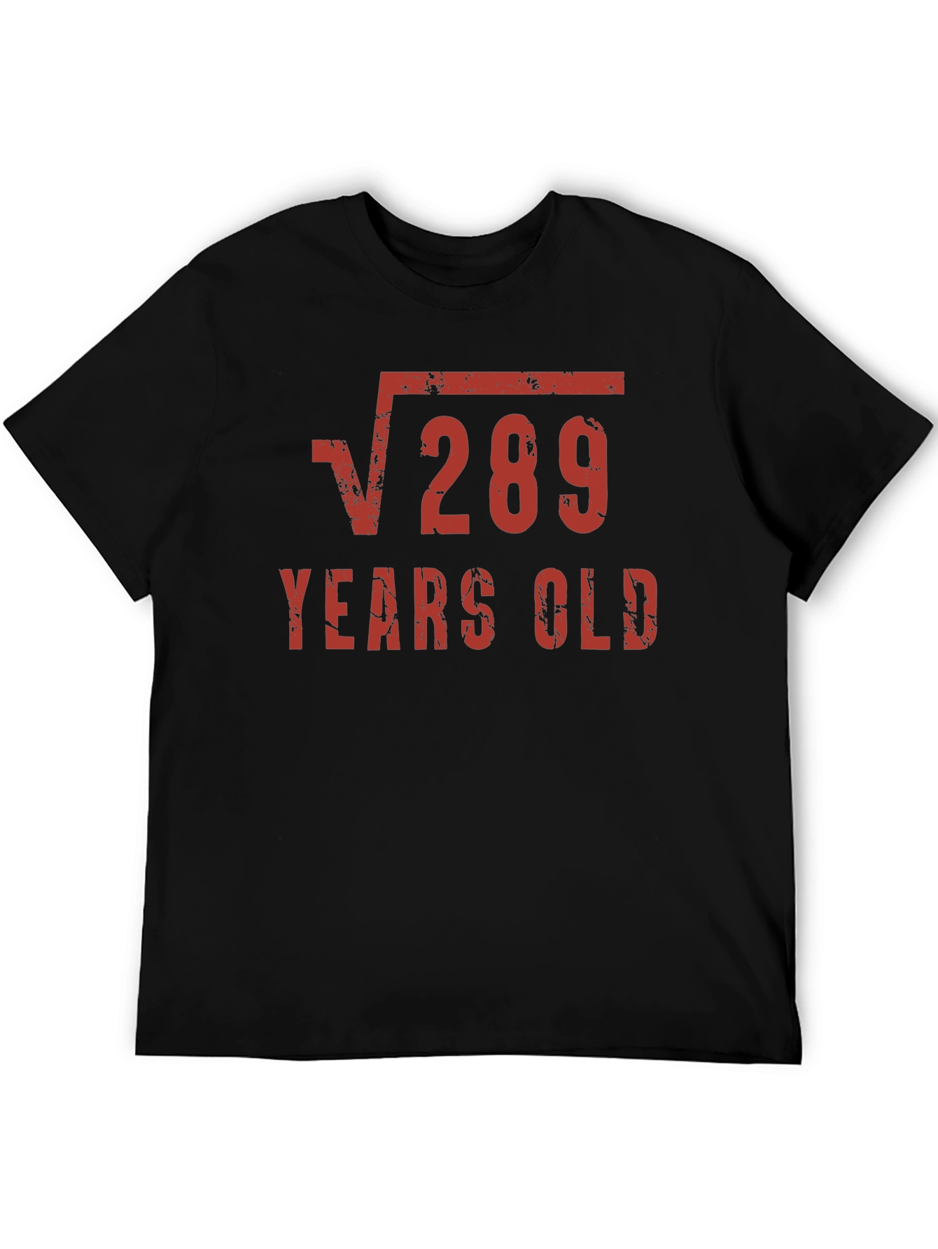Funny 17th Birthday Shirt - Square Root of 289